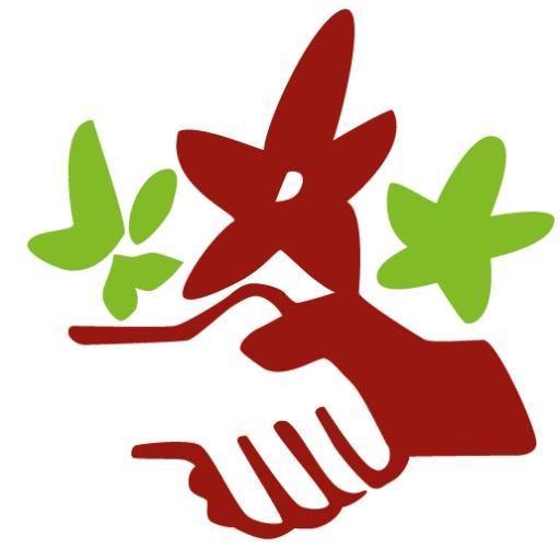 NaturfreundeJu's profile picture. Der #Jugendverband der Naturfreund*innen: Wir engagieren uns für #Nachhaltigkeit und #Solidarität.