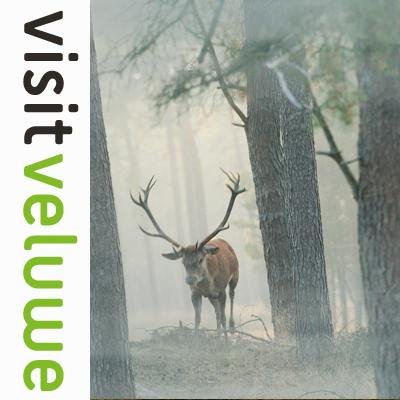 De (toeristische) marketingorganisatie voor de Veluwe. Dit account wordt niet meer actief gebruikt. Volg ons op LinkedIn voor het laatste nieuws.