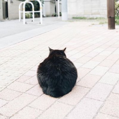 ▽新しくなりました