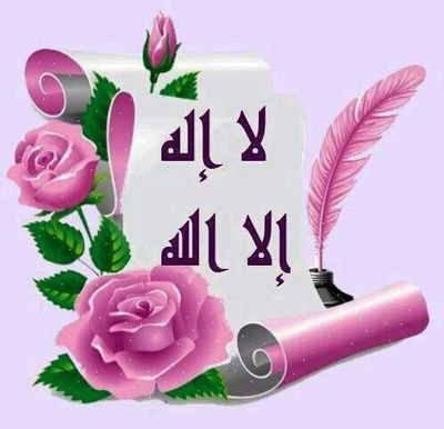 9zCRfNvxhX9q4CY's profile picture. 