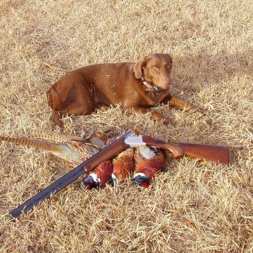 HuntFishSD.com Profile
