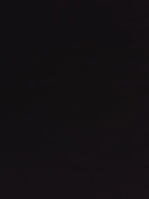 basicbitches212's profile picture. queen ? bitch more like pesant ...