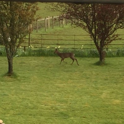 ayeandwhat's profile picture. being human