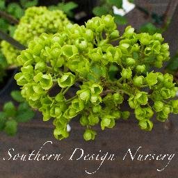 Southern Design Nursery serves the Greater Atlanta area. Come experience the #plants #landscaping #trees #BigGreenEgg #Yeti #DIY & #products at our #nursery!