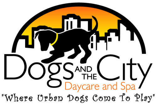 1DogsandtheCity's profile picture. 