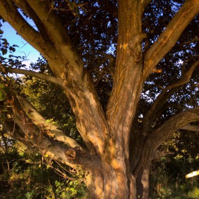 coyle_da's profile picture. 