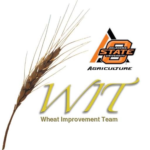 OSU Wheat Improvement Team, creator of the GrazenGrain (TM) breeding system for Oklahoma wheat producers