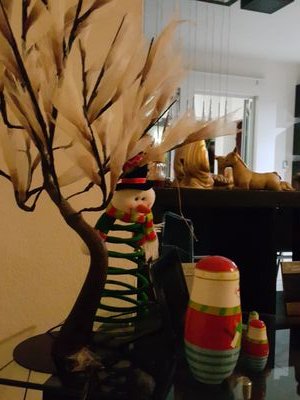 seguriclyn's profile picture. 