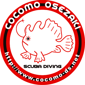 cocomo_osezaki Profile Picture