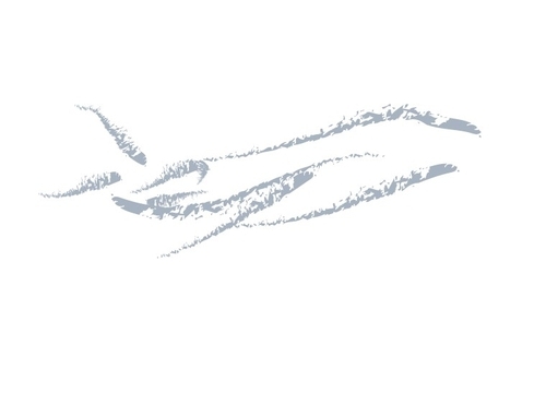 Nationwide Aviation Solutions Company - Charter, Management, FBO, MX