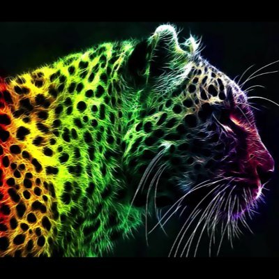 Lol35_'s profile picture. 