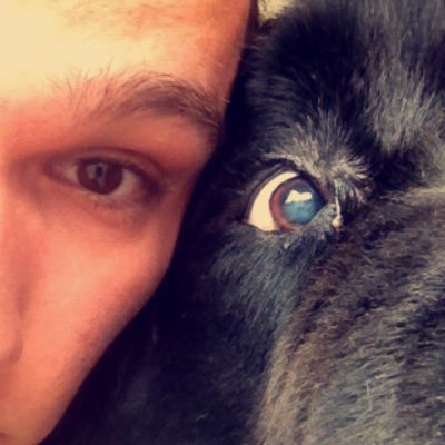 GauthParis's profile picture. Lille ! Scéléraaat !