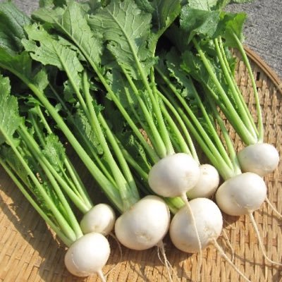 kabu3737's profile picture. 年収300万円の低所得会社員。2013年12月億万長者となるため株式投資開始。その記録がこのツイッター。 投資元本272万。 気軽にメッセージください。