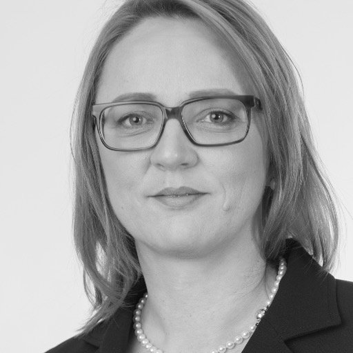 XineSuisse's profile picture. 