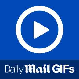 The best GIFs and videos from @MailOnline accounts //
https://t.co/fT7KB2eXic