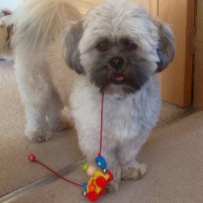 gillyc45's profile picture. 