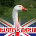 Carr Farm (@carrfarmgeese) Twitter profile photo