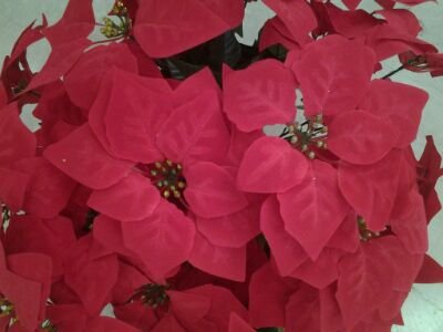 intimo_mnt's profile picture. Negozio di intimo, moda mare, abbigliamento e accessori. #brescia #intimo #modamare