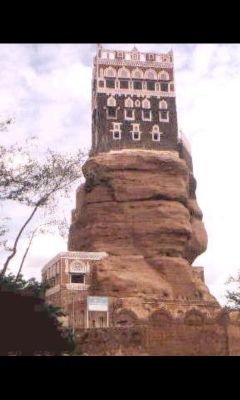 t11111567's profile picture. 