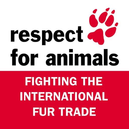 Respect for Animals campaigns against the cruel and unnecessary international fur trade. Members of @FurFreeAlliance & @act4animalsEU #MakeFurHistory