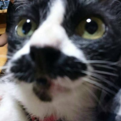 kannami22's profile picture. 