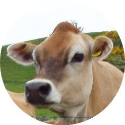 CalfCloseCttge's profile picture. A lovely rural cottage in north Cumbrian countryside. Sleeps two + 1 dog