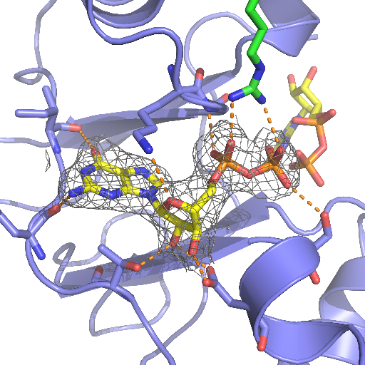 Associate Professor. Metabolic Engineering Group. Dept. Microbiology and Genetics. University of Salamanca (Spain)