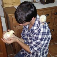 Pedro (@peterrmosby) 's Twitter Profile