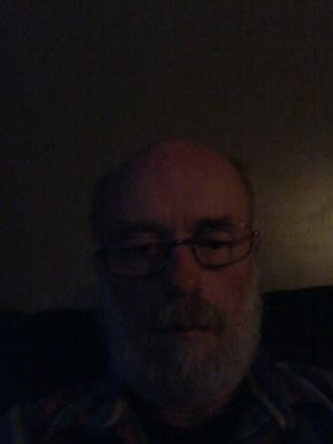 bear541247's profile picture. 