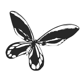 IUCNButterflySG's profile picture. The IUCN SSC Butterfly & Moth Specialist Group works to inform about and conserve butterflies and moths and their habitats around the world.