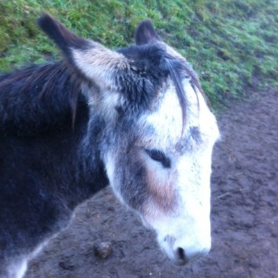 Trace72Trace's profile picture. “For sale: Baby shoes, never worn.”