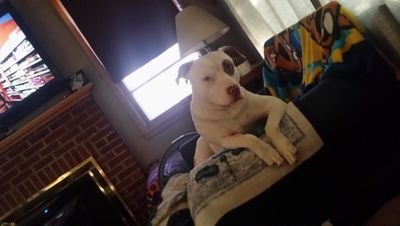 RomeoSusie's profile picture. 