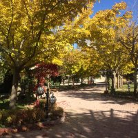 Fulya (@fulyabekir) 's Twitter Profile Photo