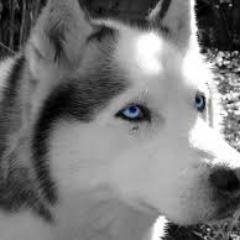 FreeHacking's profile picture. 