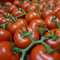 MightyVine (@mightyvine) 's Twitter Profile