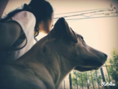 aixa_lara's profile picture. hoy me toca estar bien ami...