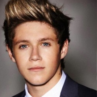 The Person What Makes Me Happy Is Niall Horan I Love Him So Much I Would Do Anything To Meet Him Again Xx @niallofficial