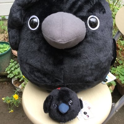 E3Hermes's profile picture. 超鳥好きの変なオバサンです。ペタ(1千兆)の大きさでカラスがスキー。スズメとメジロとイカルとペンギンもラブ。 3組のボソ夫婦：マー君とつーちゃん、オカンとオトン、オーたんとオクタンを見守り中😃🍒😃 チョコとジャックは🌈の向こうみたい😞基本的に､鍵アカとツイなしアカとエロ系、営業系はゴメンなさい