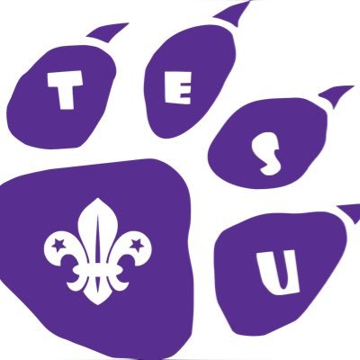 We are a vibrant and enthusiastic Explorer Scout Unit in the heart of Tottenham. #tesumassive