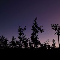 Minnetonka Orchards (@mtkaorchards) 's Twitter Profile