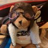 lerouxrv's profile picture. IT Architect, private pilot - Fond of IT, general aviation, badminton, soaring, scuba diving & photography (among others)