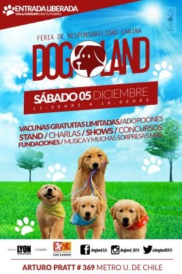 Dogland2015's profile picture. 