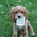 todd hummel - @airtod1965 - Twitter