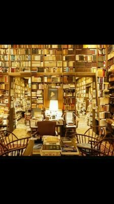 barcardi67's profile picture. 임상심리,범죄심리,재활심리,중독심리