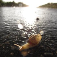 IG-11 (@ralfgro) 's Twitter Profile