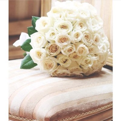 salma5545's profile picture. 