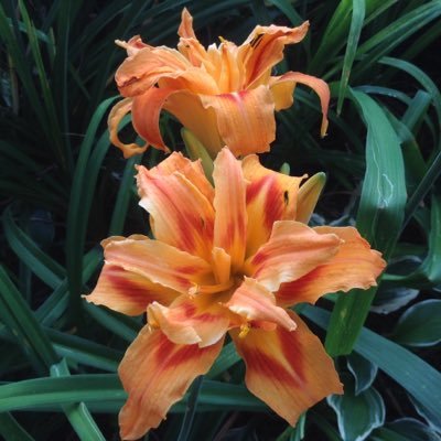 Michelle_0121's profile picture. 