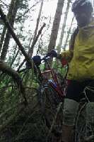 Mitch Harter Profile