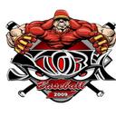 Randall Chambers - @StormBaseball44 - Twitter