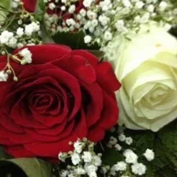 mh5_a's profile picture. كن كأفضل ما يمكنك أن تكون ، ودع الناس يقولون ما يقولون :) ! وأعلم أن الكون له رب يقول لشيء كن فيكون ♥ !